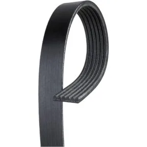 ACDelco Professional 6K905 Cinturón de serpentina_1