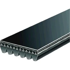 ACDelco Professional 6K905 Cinturón de serpentina_3