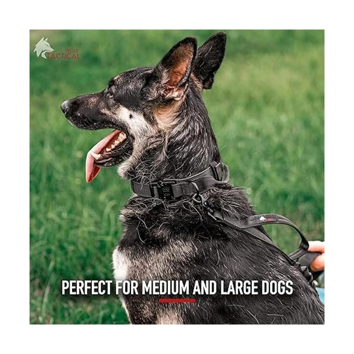 WOLF TACTICAL Collar de perro para perros grandes_5
