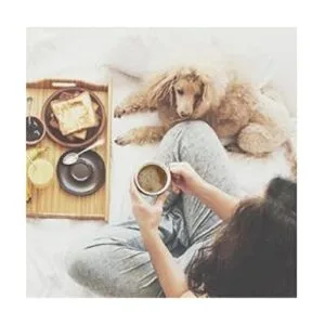 Simply Soft Juego de sábanas de 4 piezas con patrón de_5