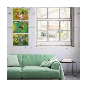 Canvbay Lienzo de 3 piezas con estampado de colibríes para_5