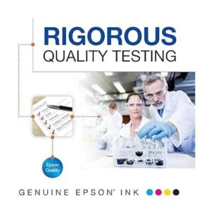 EPSON T202 Claria Paquete combinado de color de capacidad_4