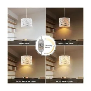 CINSARY Lámpara colgante enchufable luz colgante con_3