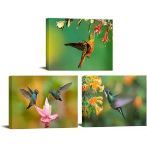 Canvbay Lienzo de 3 piezas con estampado de colibríes para_1