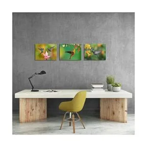 Canvbay Lienzo de 3 piezas con estampado de colibríes para_3