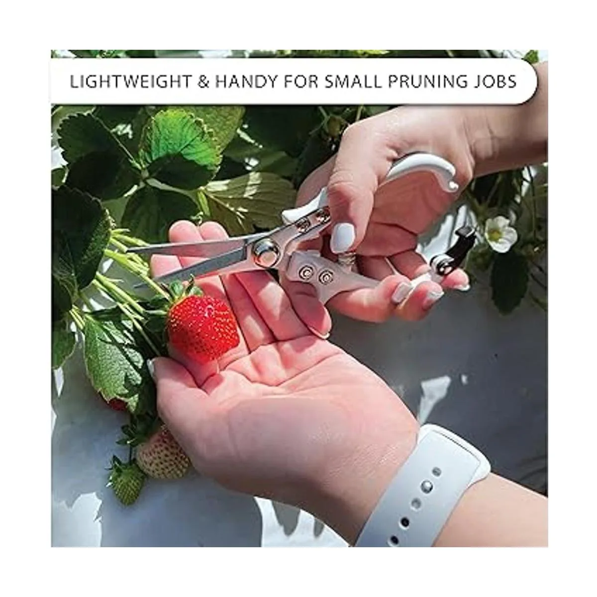 LOOPSEED Tijeras de podar de plantas con vaina de cuero_4