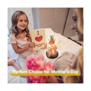 oridom Regalo de flores preservadas rosa iluminada en_4