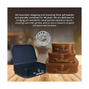 Wald Imports Juego de 3 maletas de cartón Cajas de_5