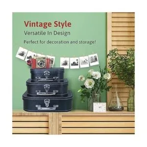 Wald Imports Juego de 3 maletas de cartón Cajas de_3