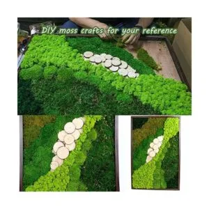 1.5sq. Ft Preserved Moss Pole Moss Pillow Moss Colored_4