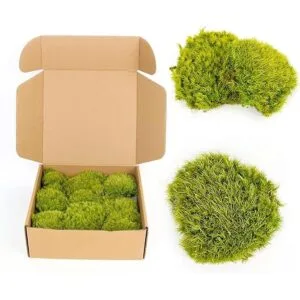 1.5sq. Ft Preserved Moss Pole Moss Pillow Moss Colored_2