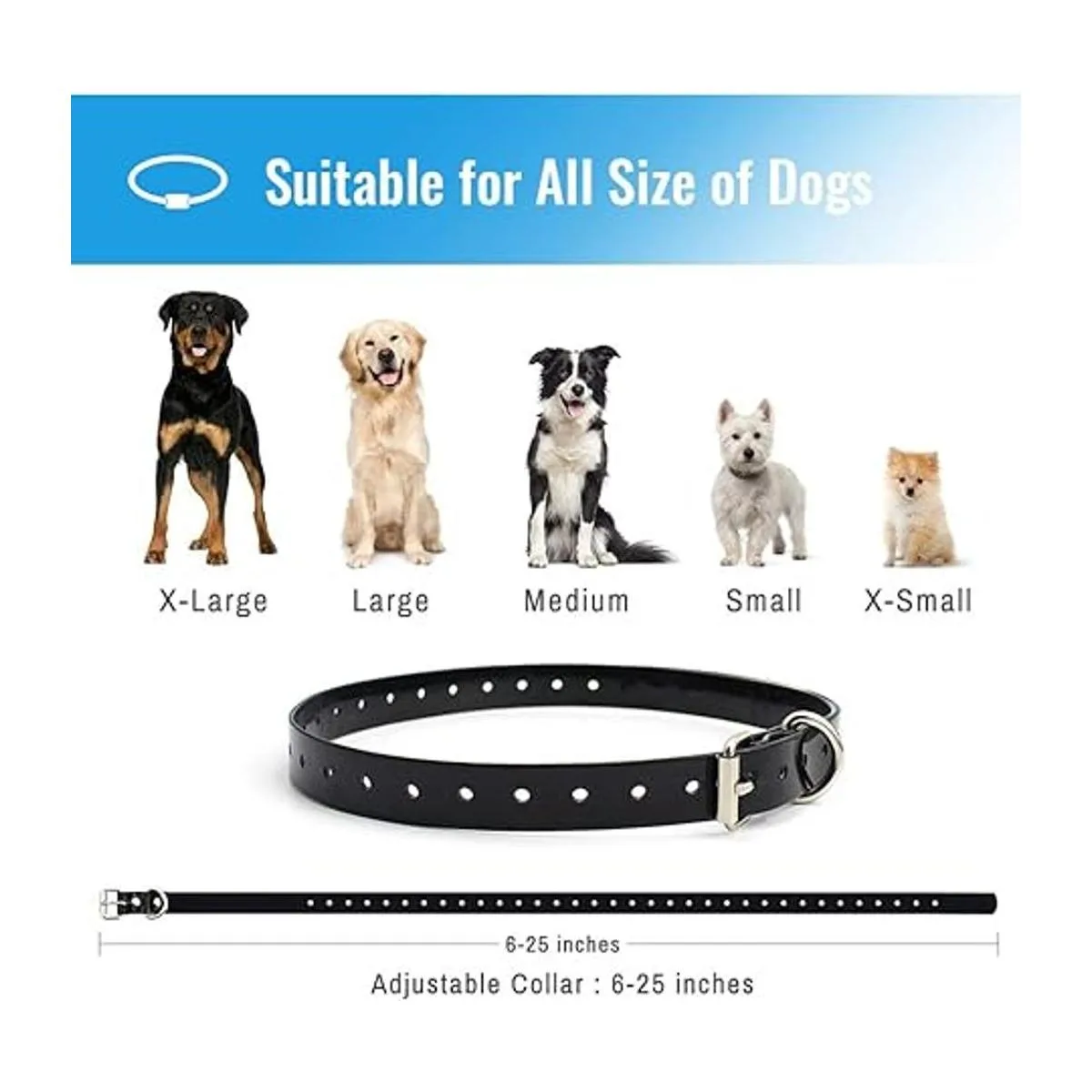 Petrainer Collar de perro 100 impermeable con control_6
