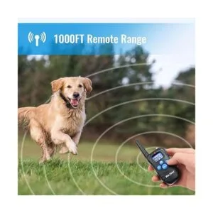 Petrainer Collar de perro 100 impermeable con control_2