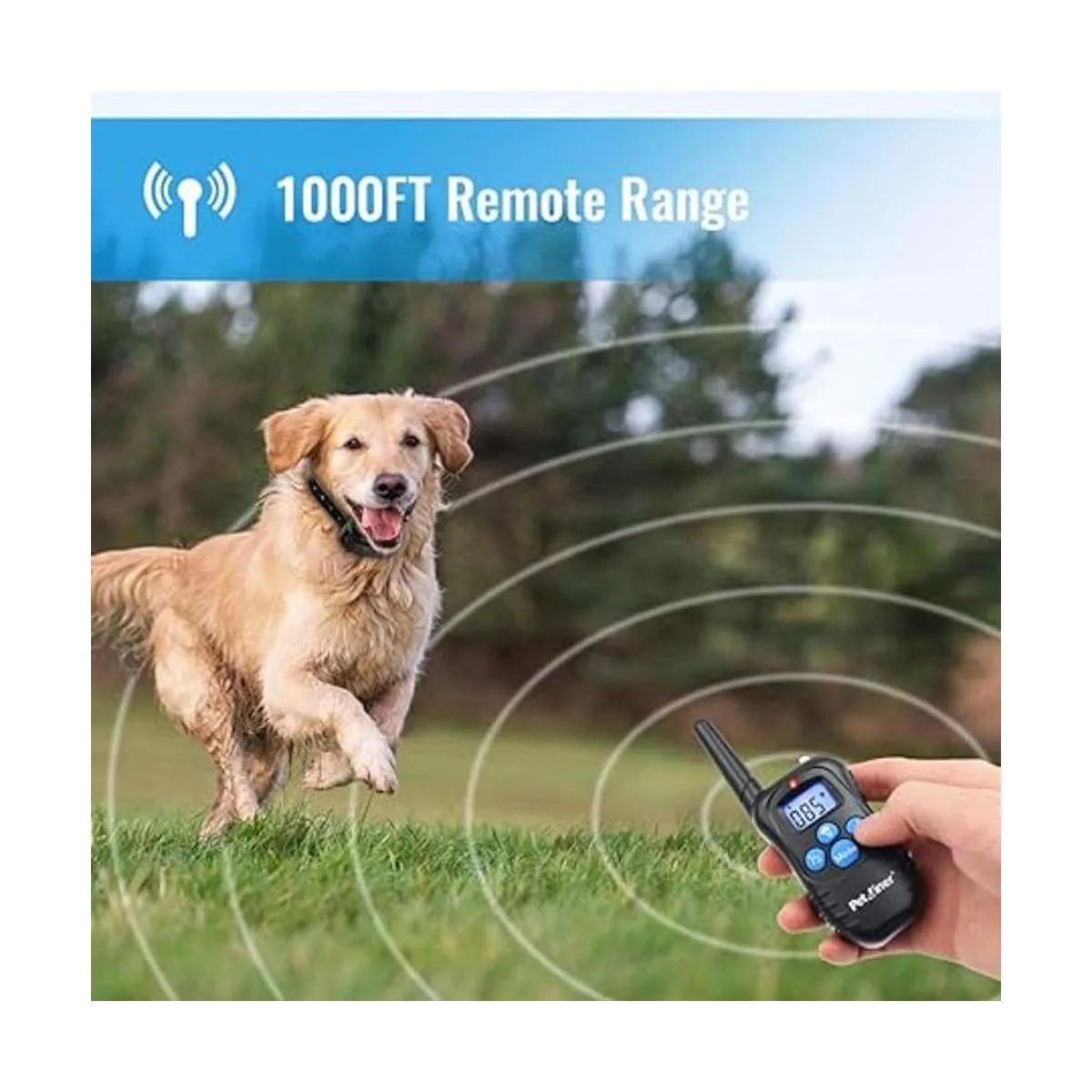 Petrainer Collar de perro 100 impermeable con control_2