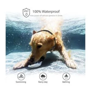 PATPET Collar de entrenamiento para perros con control_3