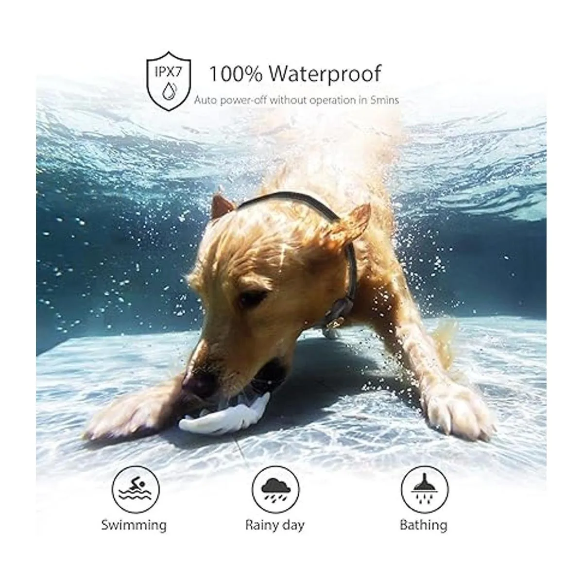 PATPET Collar de entrenamiento para perros con control_3