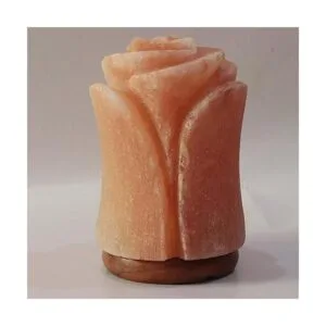 Hermosa lámpara de sal del Himalaya con forma de flor_4