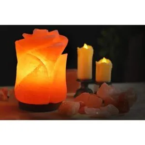 Hermosa lámpara de sal del Himalaya con forma de flor_2