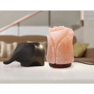 Hermosa lámpara de sal del Himalaya con forma de flor_5