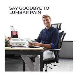 Cojín de asiento y almohada de apoyo lumbar almohadilla_3