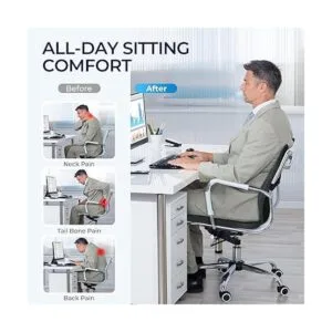 Cojín de asiento y almohada de apoyo lumbar almohadilla_2