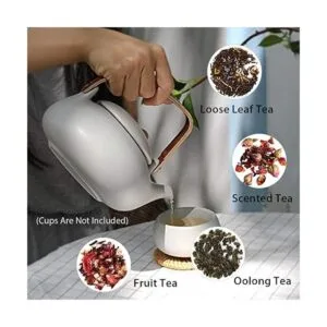 ZENS Tetera de cerámica con infusor olla de té japonesa_4