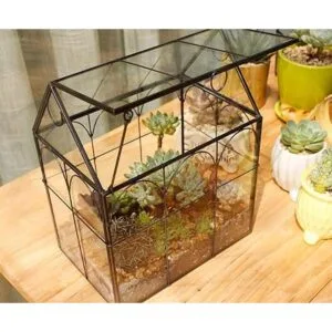 ELEGANTLIFE Terrario geométrico de cristal para plantas_3