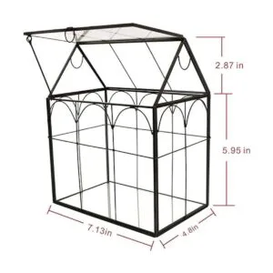 ELEGANTLIFE Terrario geométrico de cristal para plantas_4