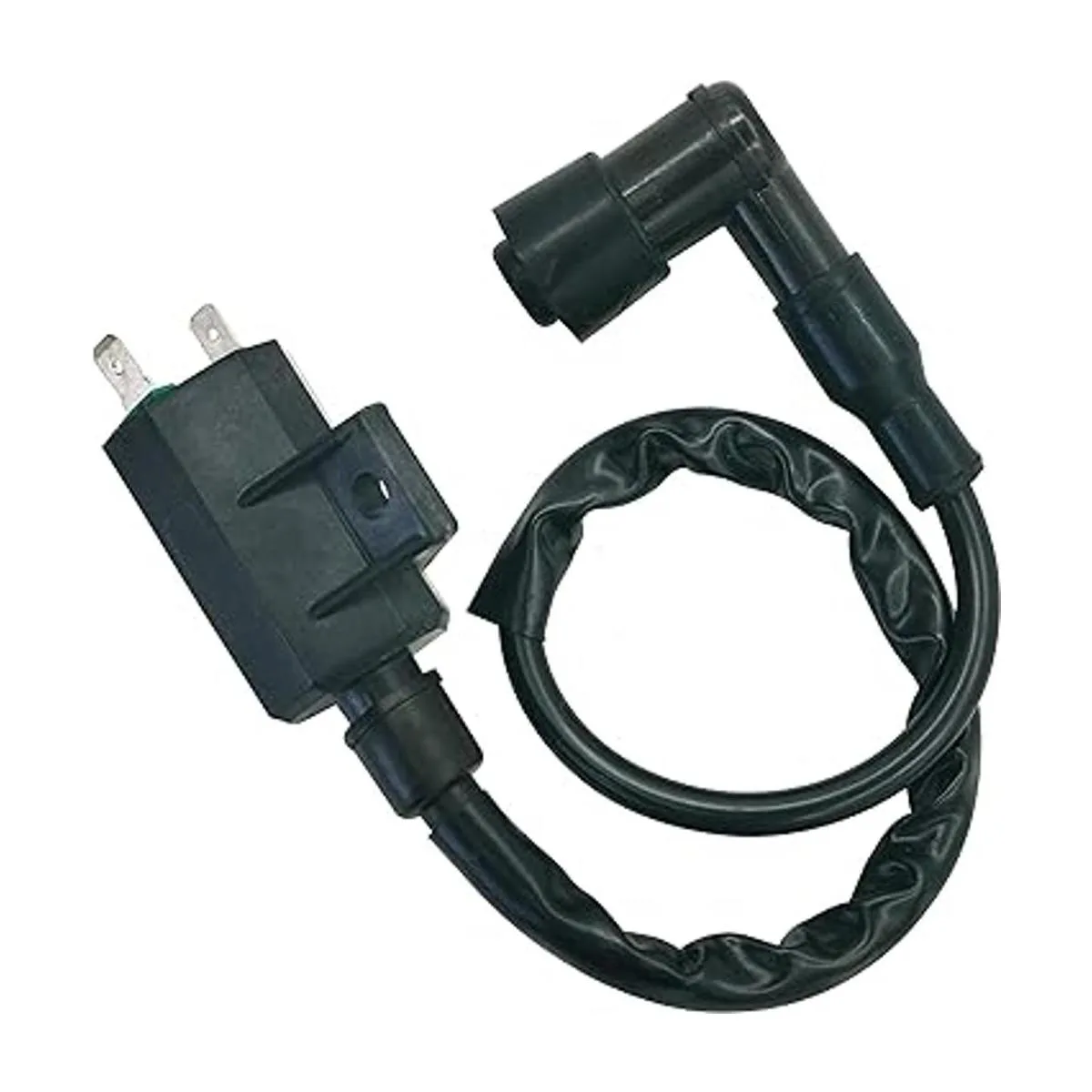 Bobina de encendido con caja CDI y relé solenoide de_3