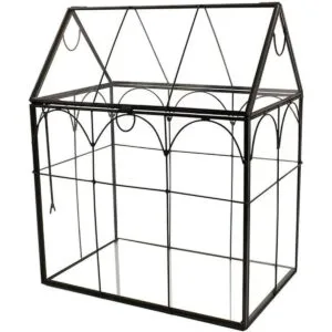 ELEGANTLIFE Terrario geométrico de cristal para plantas_7