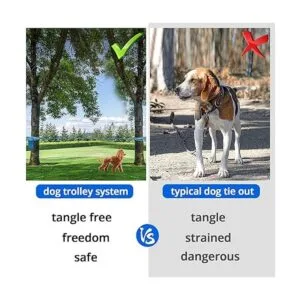 Cable de amarre para perros para campamento sistema de_4