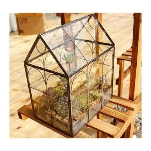 ELEGANTLIFE Terrario geométrico de cristal para plantas_2
