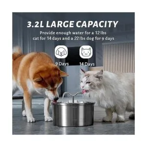 DOOOB Fuente de agua para gatos dispensador automático de_2