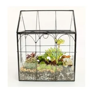 ELEGANTLIFE Terrario geométrico de cristal para plantas_6