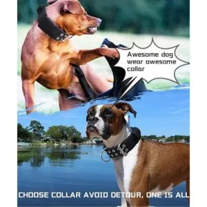 Collar grande para perro collares negros resistentes para_4