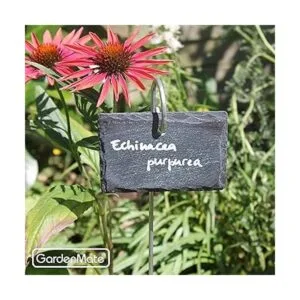 GardenMate Paquete de 10 etiquetas para plantas de_4