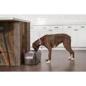 647 Lbs. Elevated Pet Feeder with Airtight Storage_3