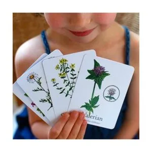 Wildcraft Juego de mesa cooperativo An herbal adventure_4