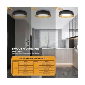 Flynix Lámpara de techo LED de 12.5 pulgadas 26 W_4