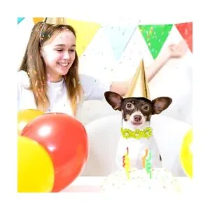 80 piezas de corbatín para perro collar de perro_4