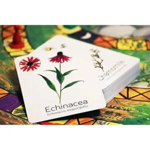 Wildcraft Juego de mesa cooperativo An herbal adventure_5