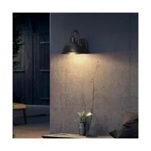 Naurham Luz de cuello de cisne con luz de granero_7