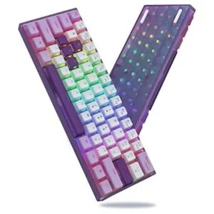 Womier WK61 Teclado morado Teclado mecánico 60_1