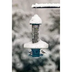 Weather Guard. Trampa para ardillas con comedero para_4