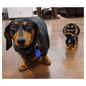 Dachshund Juego de 2100 bloques de construcción para_4