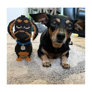 Dachshund Juego de 2100 bloques de construcción para_6