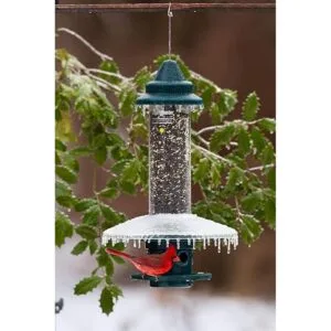 Weather Guard. Trampa para ardillas con comedero para_2