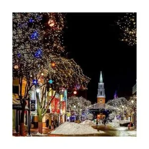 Paquete de 4 luces solares de Navidad impermeables para_7