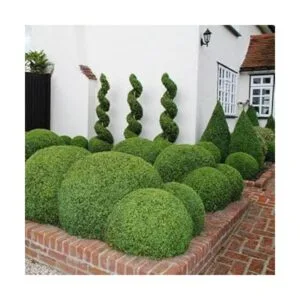 TABOR TOOLS B620A Tijeras de setos con hoja ondulada para_5