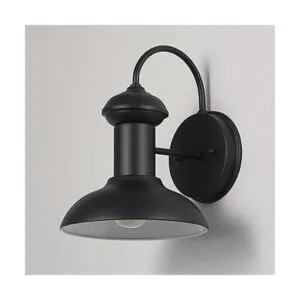 Globe Electric 44862 Aplique de pared para interiores y_7